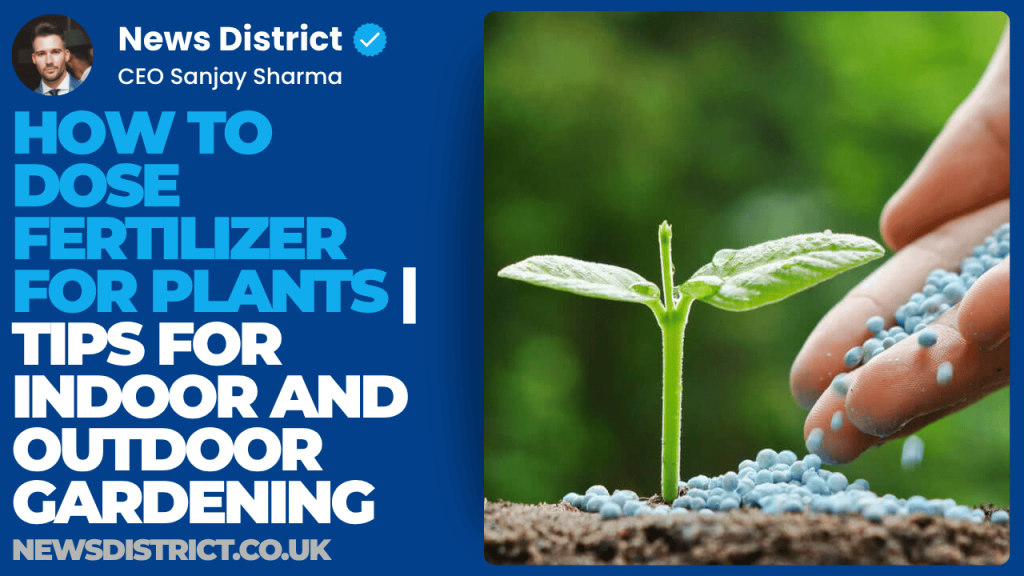 How to Dose Fertilizer for Plants | Tips for Indoor and Outdoor Gardening