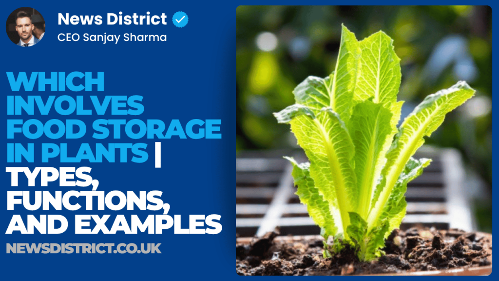 Which Involves Food Storage in Plants | Types, Functions, and Examples Which Involves Food Storage in Plants | Types, Functions, and Examples